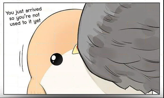 Southern Bird and Northern Bird Chapter 20 page 4 - 