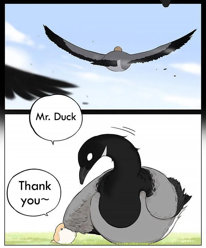 Southern Bird and Northern Bird Chapter 20 page 8 - 