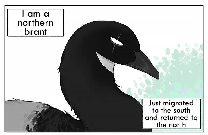 Southern Bird and Northern Bird Chapter 21 page 1 - 