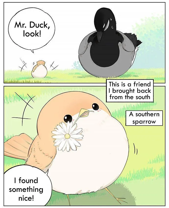Southern Bird and Northern Bird Chapter 21 page 2 - 
