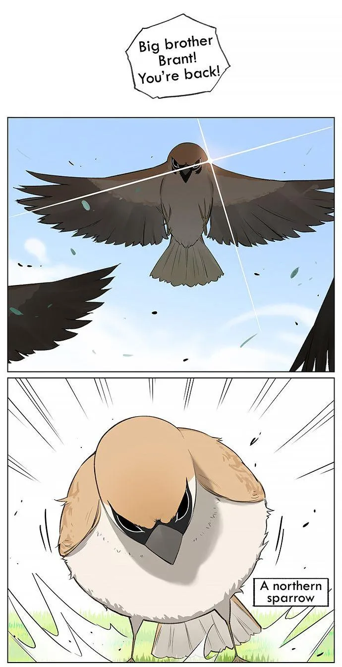Southern Bird and Northern Bird Chapter 21 page 4 - 