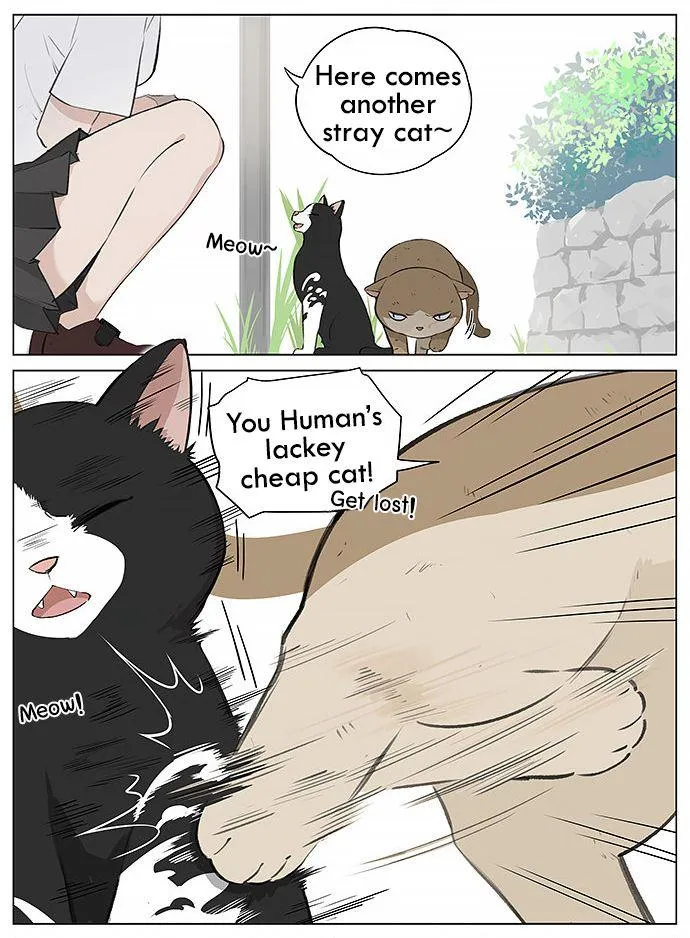 Southern Bird and Northern Bird Chapter 22 page 5 - 