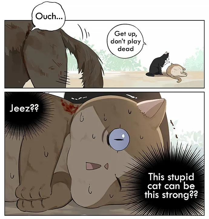 Southern Bird and Northern Bird Chapter 23 page 8 - 