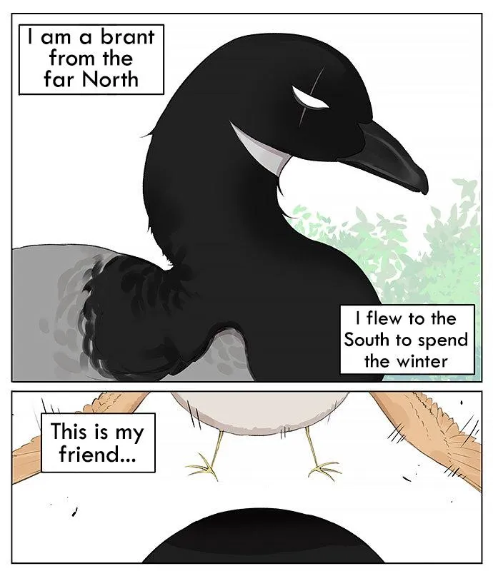 Southern Bird and Northern Bird Chapter 24 page 1 - 