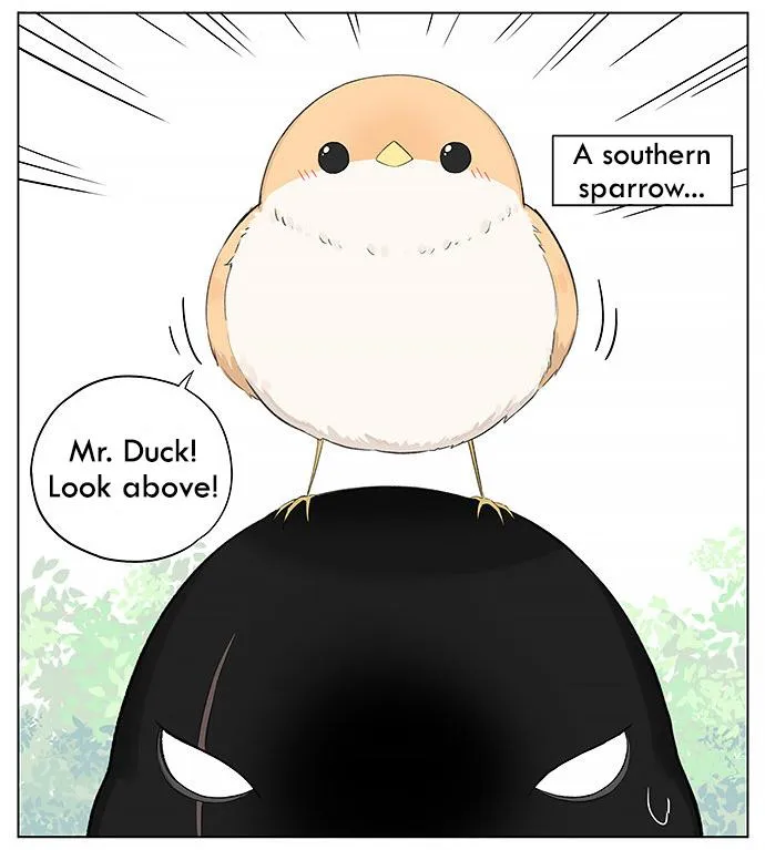 Southern Bird and Northern Bird Chapter 24 page 2 - 