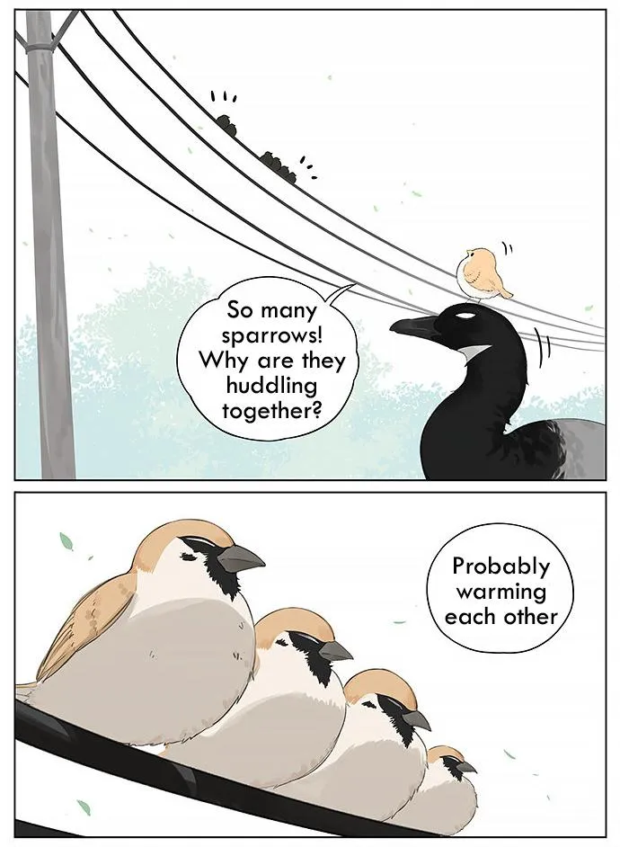 Southern Bird and Northern Bird Chapter 24 page 3 - 