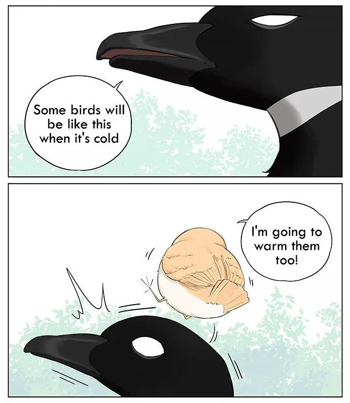Southern Bird and Northern Bird Chapter 24 page 4 - 