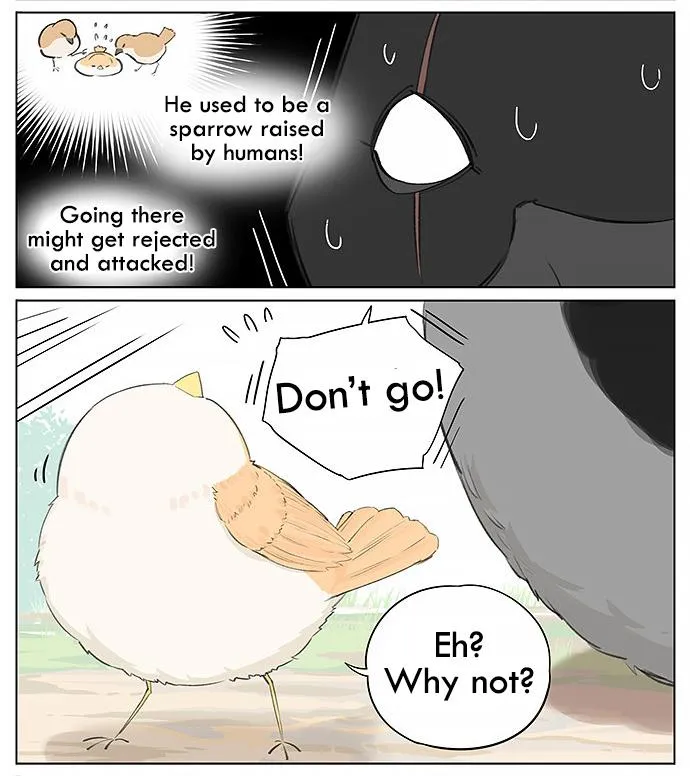 Southern Bird and Northern Bird Chapter 24 page 5 - 