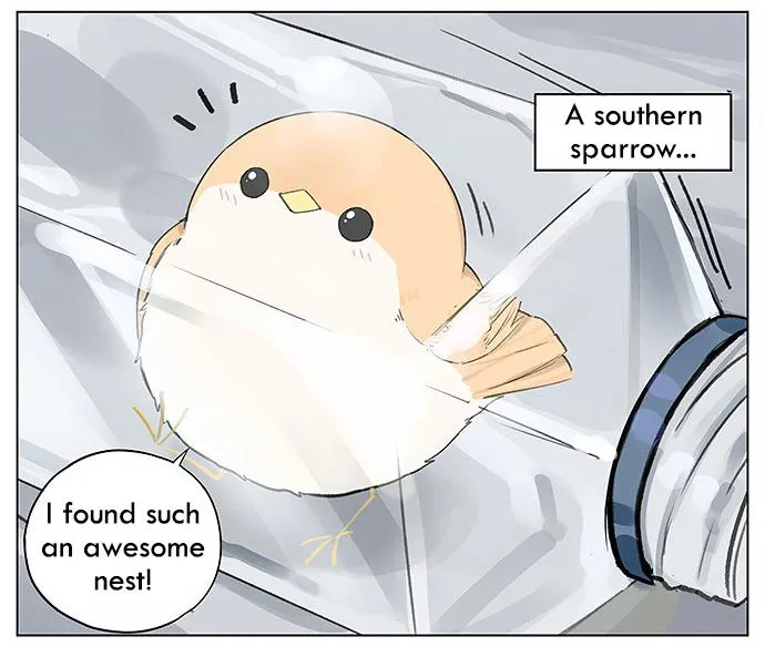Southern Bird and Northern Bird Chapter 25 page 2 - 