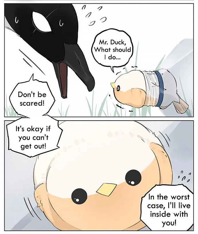 Southern Bird and Northern Bird Chapter 25 page 5 - 