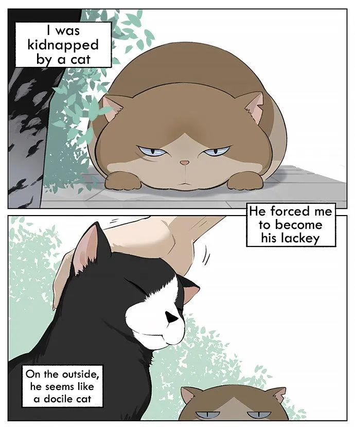 Southern Bird and Northern Bird Chapter 26 page 1 - 