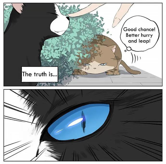 Southern Bird and Northern Bird Chapter 26 page 2 - 