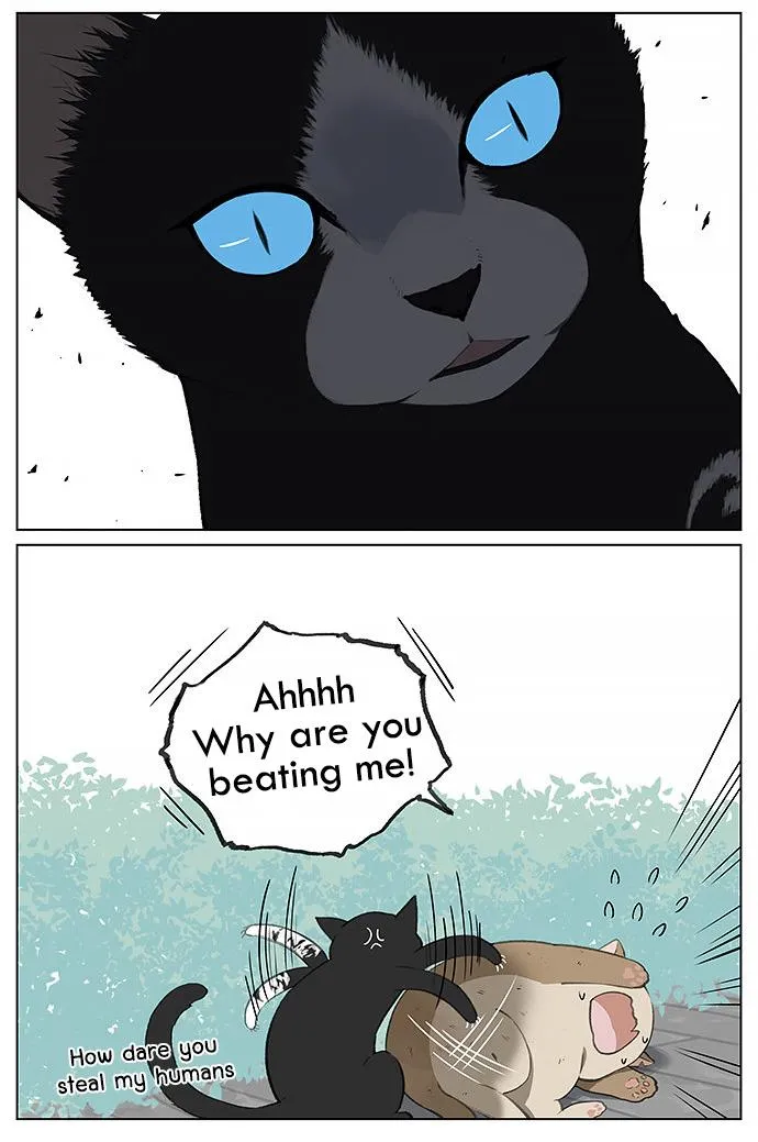 Southern Bird and Northern Bird Chapter 26 page 7 - 