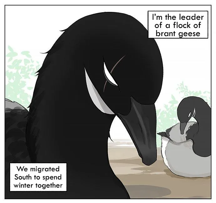 Southern Bird and Northern Bird Chapter 27 page 1 - 