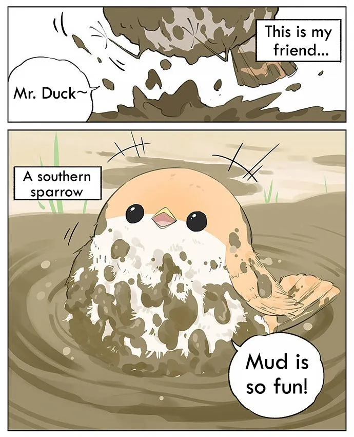 Southern Bird and Northern Bird Chapter 27 page 2 - 
