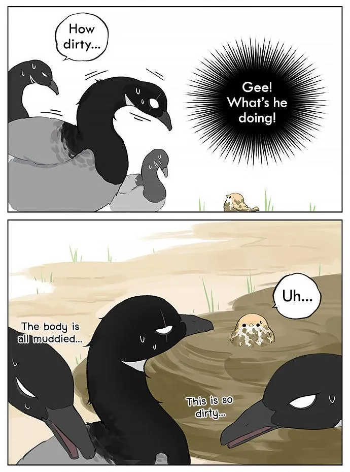 Southern Bird and Northern Bird Chapter 27 page 3 - 