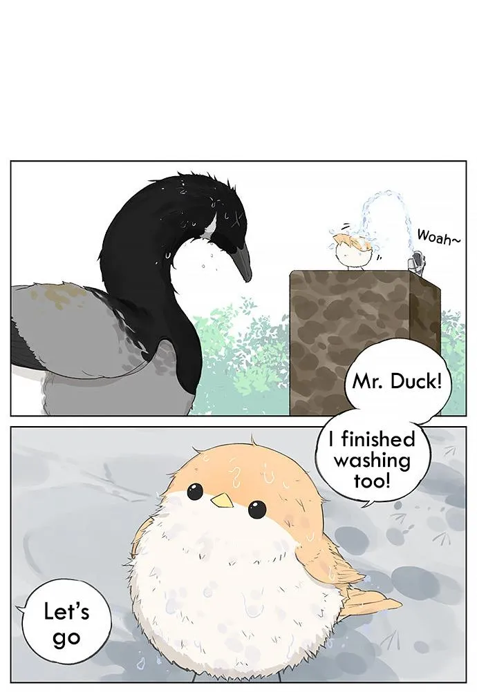 Southern Bird and Northern Bird Chapter 27 page 6 - 