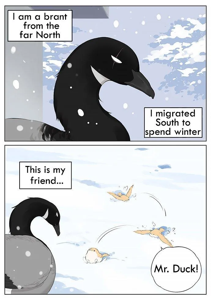 Southern Bird and Northern Bird Chapter 29 page 1 - 