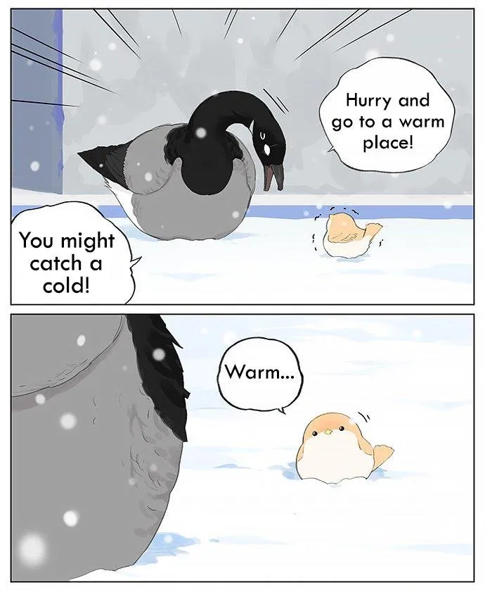 Southern Bird and Northern Bird Chapter 29 page 3 - 