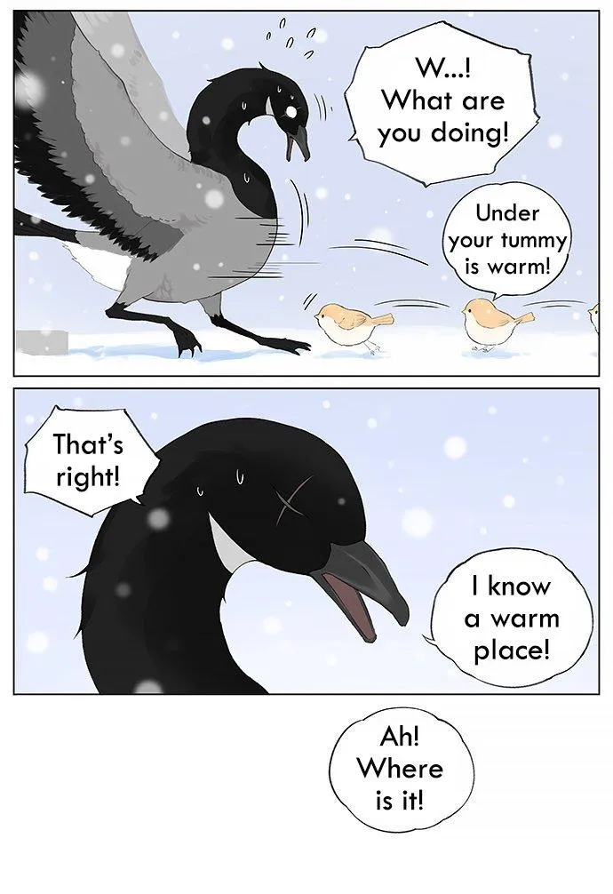 Southern Bird and Northern Bird Chapter 29 page 4 - 