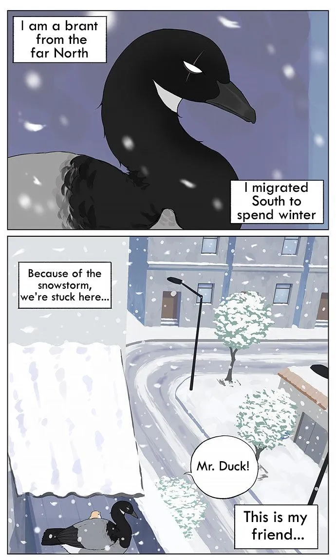 Southern Bird and Northern Bird Chapter 30 page 1 - 
