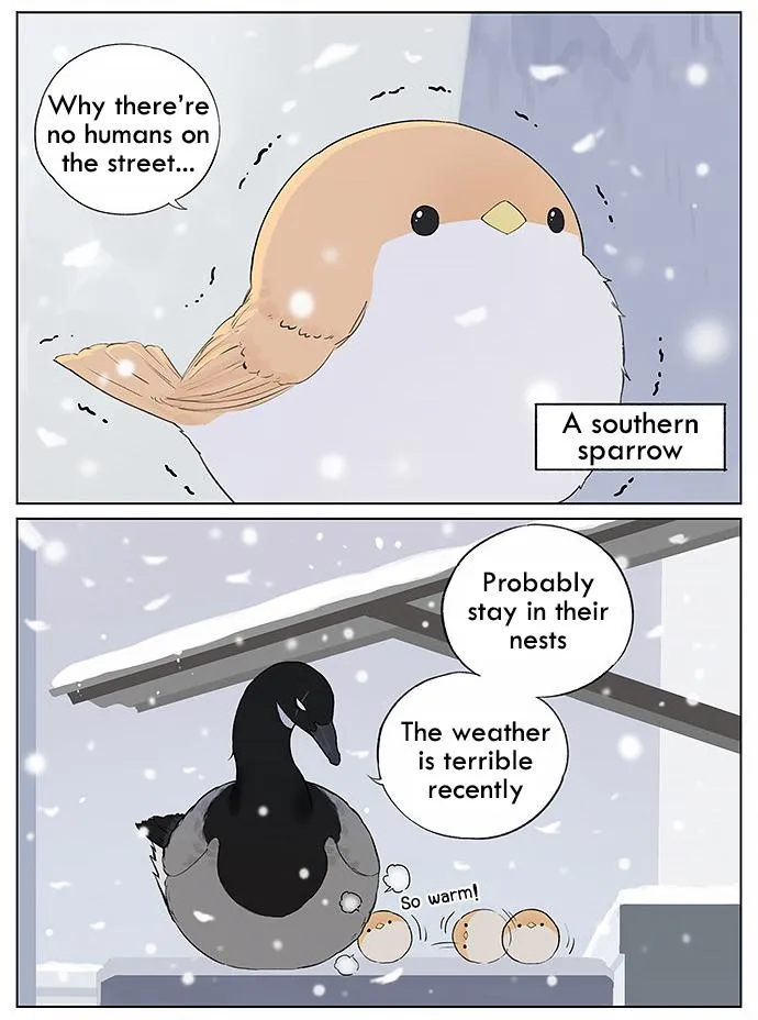 Southern Bird and Northern Bird Chapter 30 page 2 - 