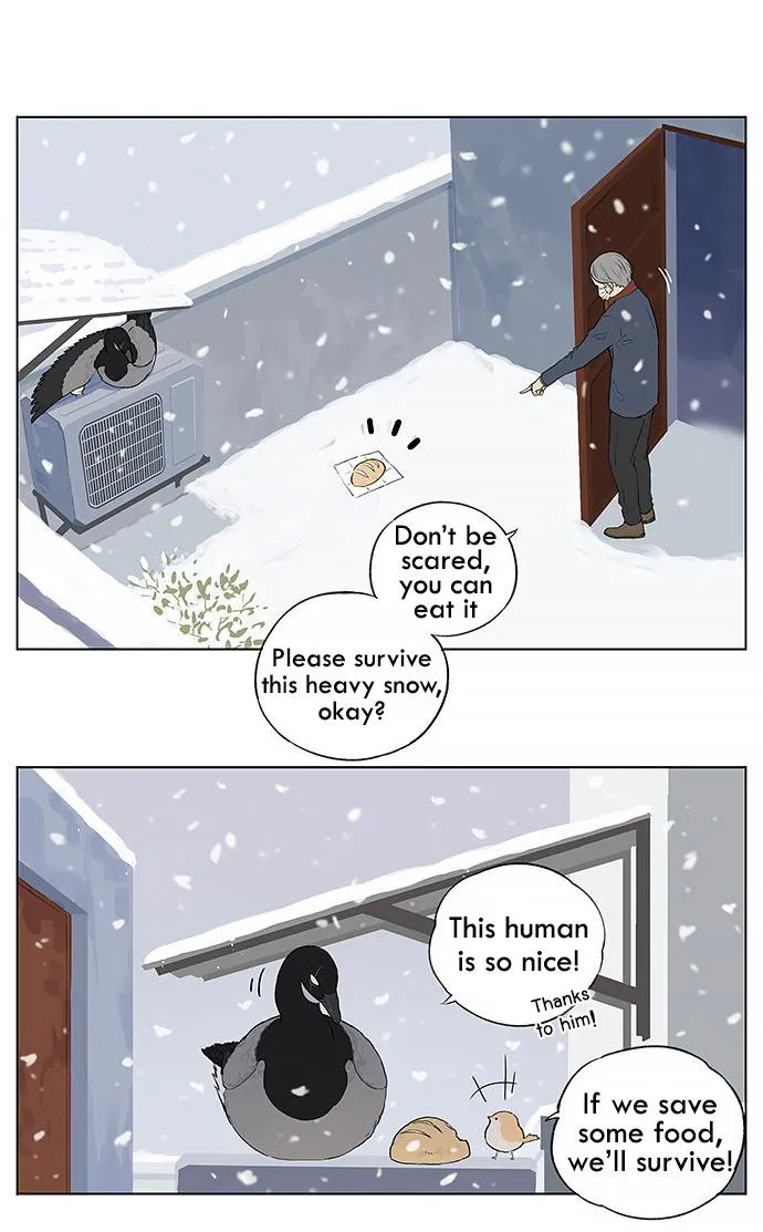 Southern Bird and Northern Bird Chapter 30 page 7 - 