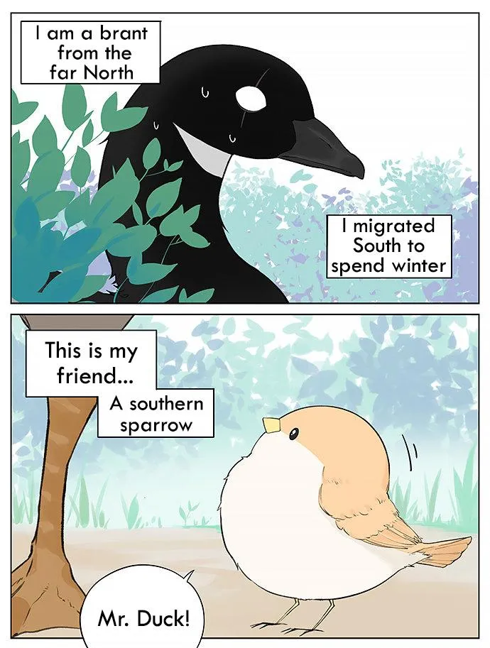 Southern Bird and Northern Bird Chapter 31 page 1 - 
