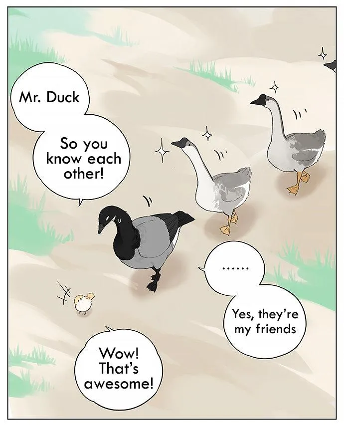 Southern Bird and Northern Bird Chapter 31 page 11 - 
