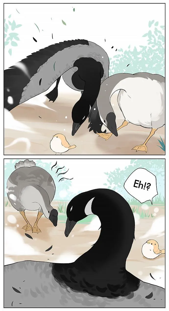 Southern Bird and Northern Bird Chapter 31 page 5 - 