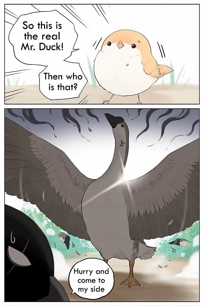 Southern Bird and Northern Bird Chapter 31 page 6 - 