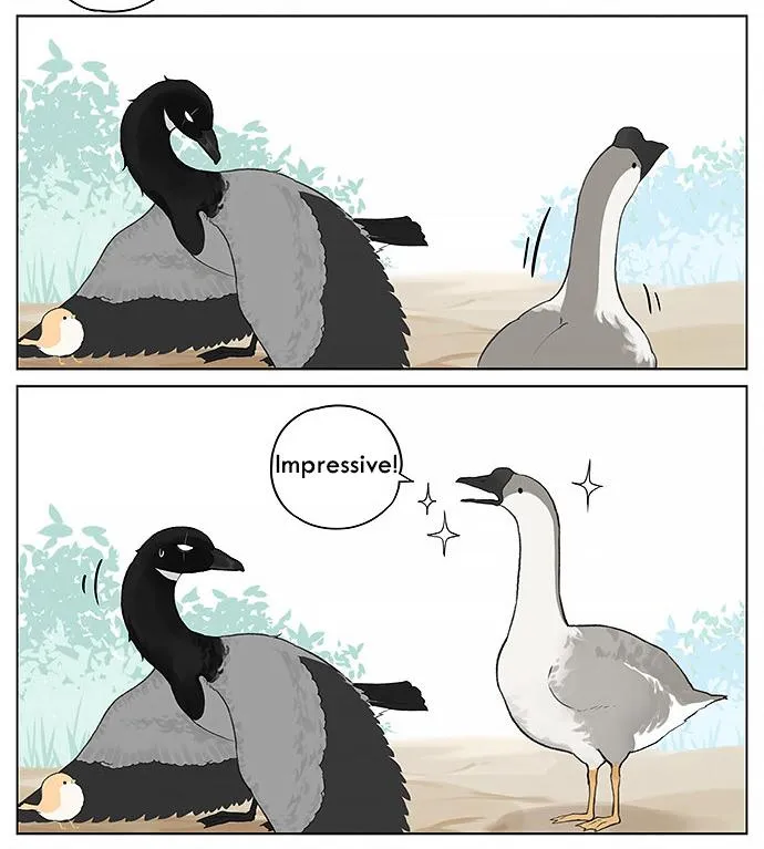 Southern Bird and Northern Bird Chapter 31 page 10 - 