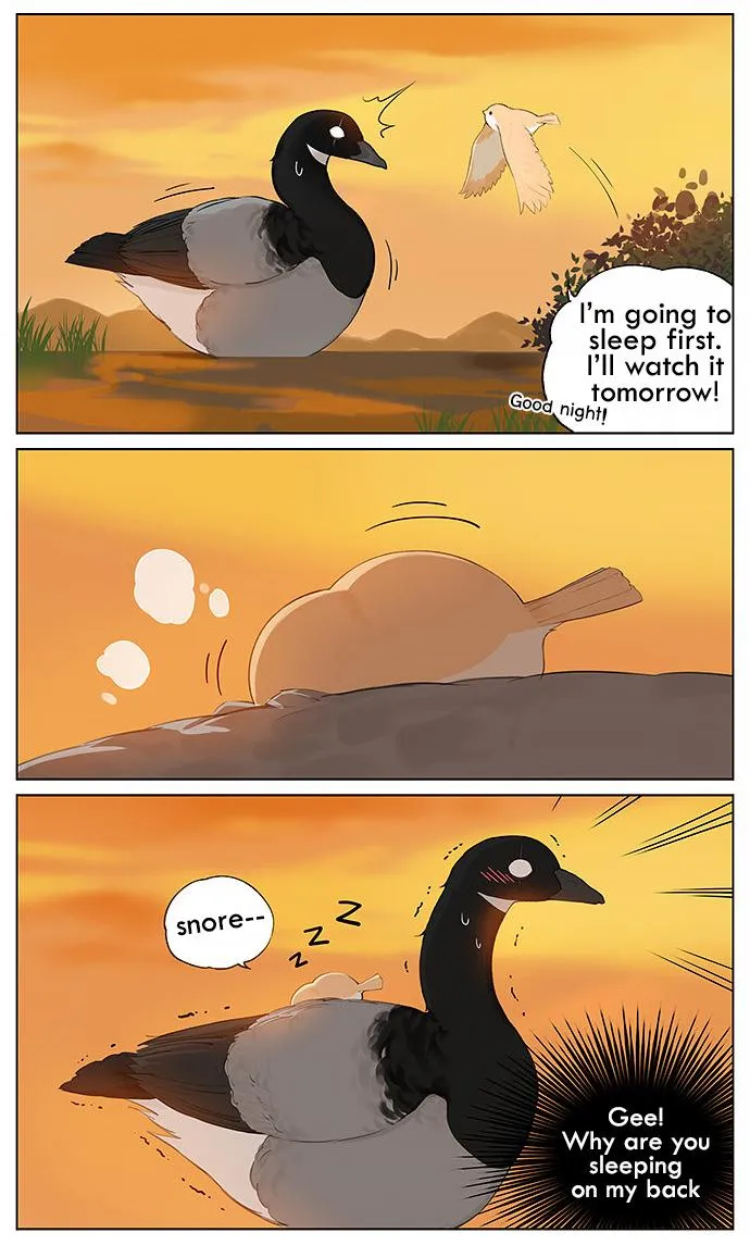 Southern Bird and Northern Bird Chapter 32 page 4 - 