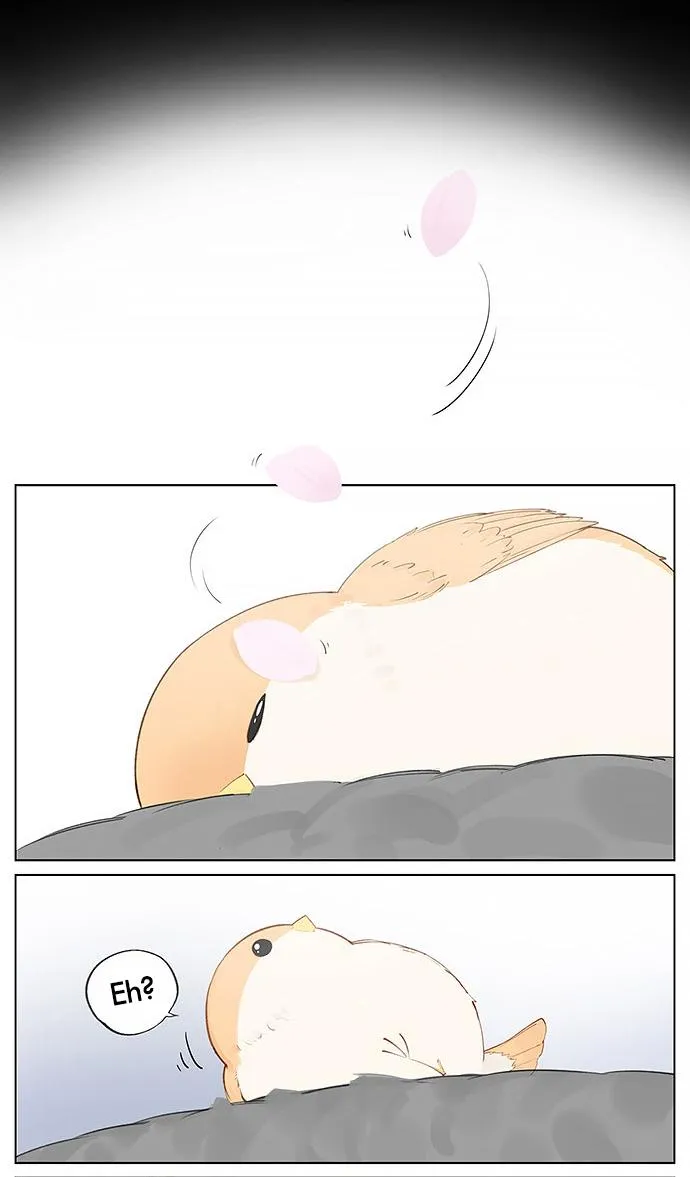 Southern Bird and Northern Bird Chapter 32 page 6 - 