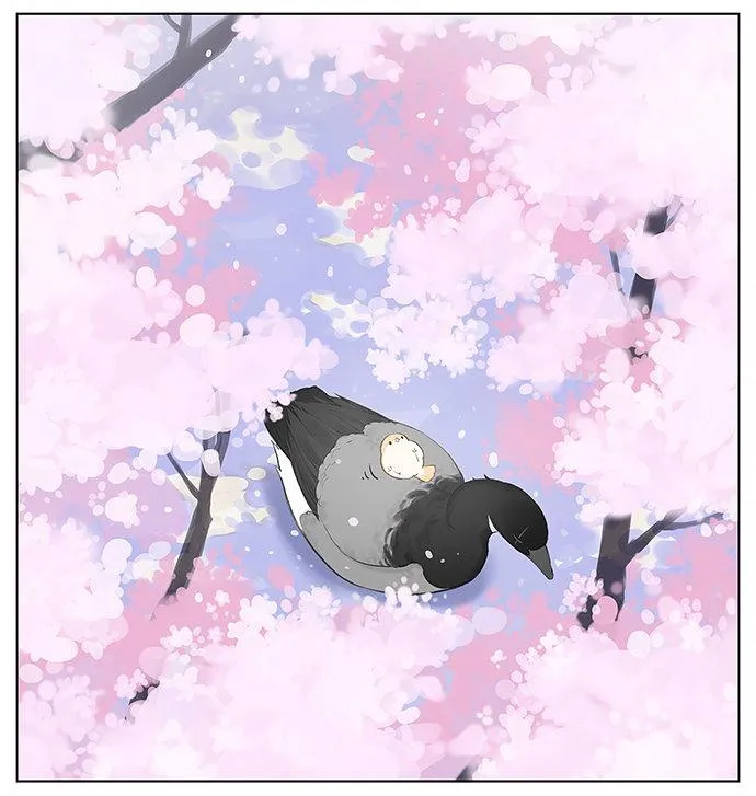 Southern Bird and Northern Bird Chapter 32 page 7 - 