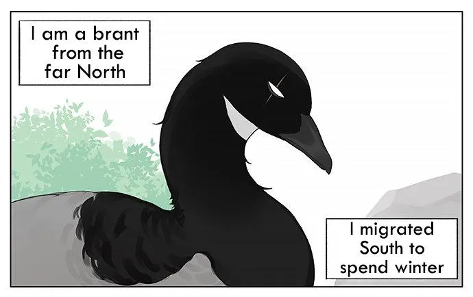 Southern Bird and Northern Bird Chapter 33 page 1 - 