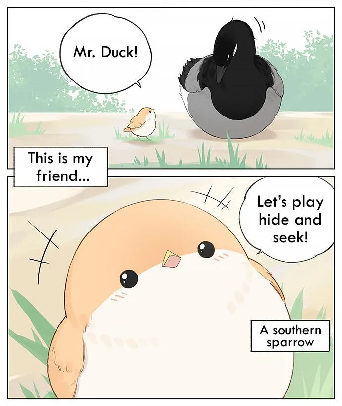 Southern Bird and Northern Bird Chapter 33 page 2 - 