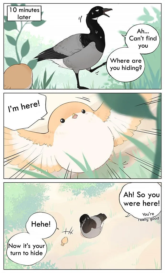 Southern Bird and Northern Bird Chapter 33 page 5 - 
