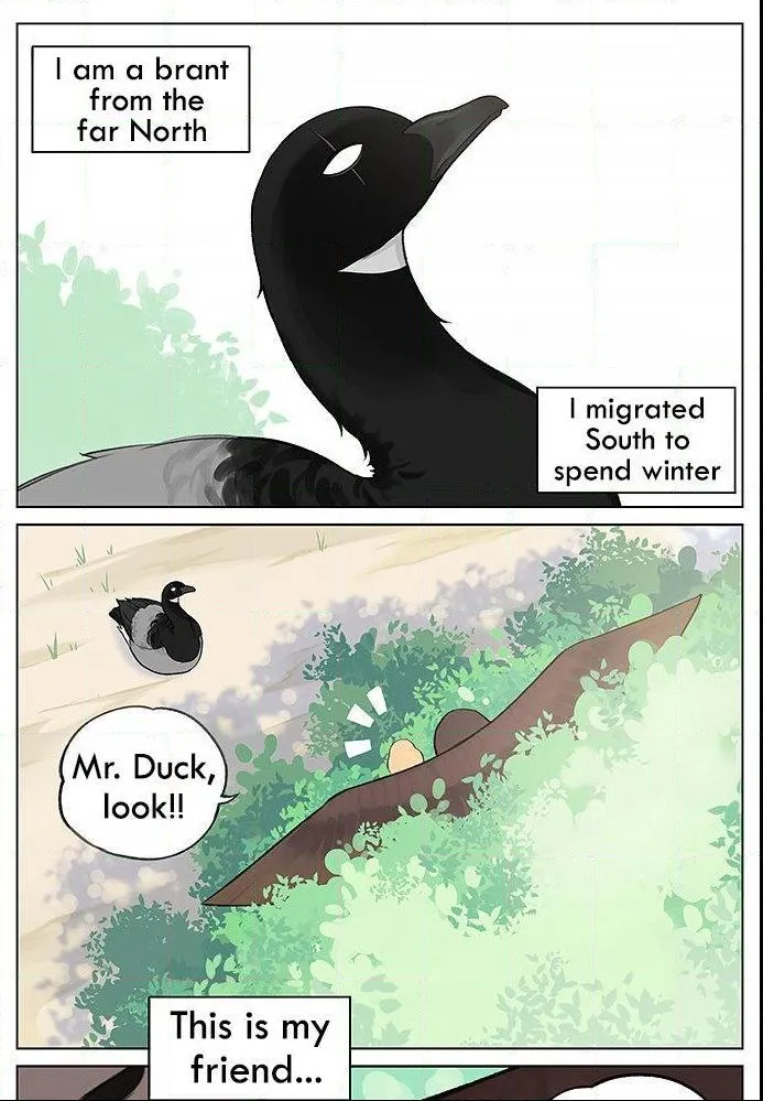 Southern Bird and Northern Bird Chapter 34 page 1 - 