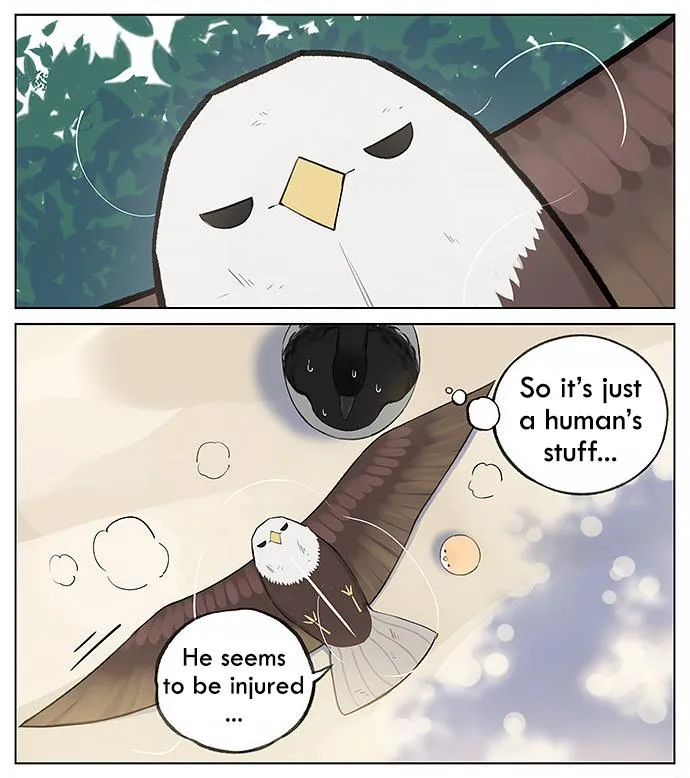 Southern Bird and Northern Bird Chapter 34 page 4 - 