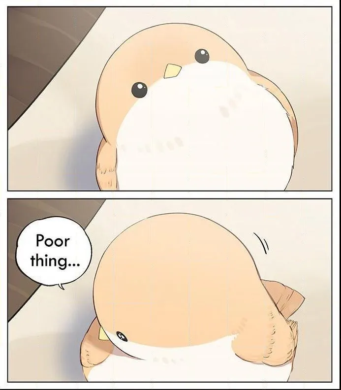 Southern Bird and Northern Bird Chapter 34 page 6 - 