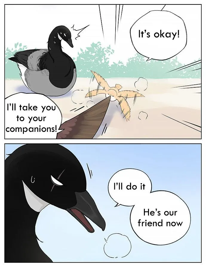 Southern Bird and Northern Bird Chapter 34 page 7 - 