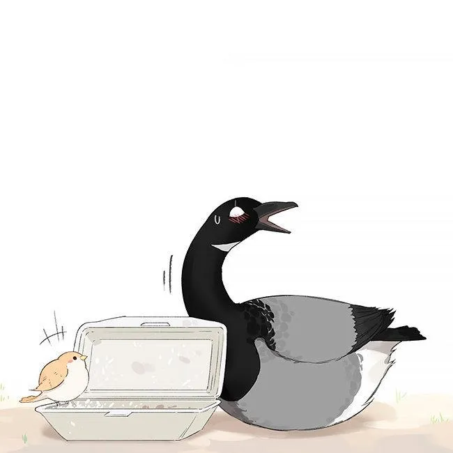 Southern Bird and Northern Bird Chapter 35 page 13 - 