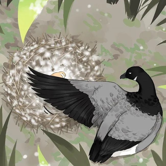 Southern Bird and Northern Bird Chapter 35 page 14 - 