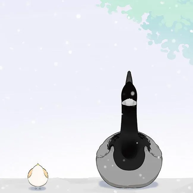 Southern Bird and Northern Bird Chapter 35 page 16 - 