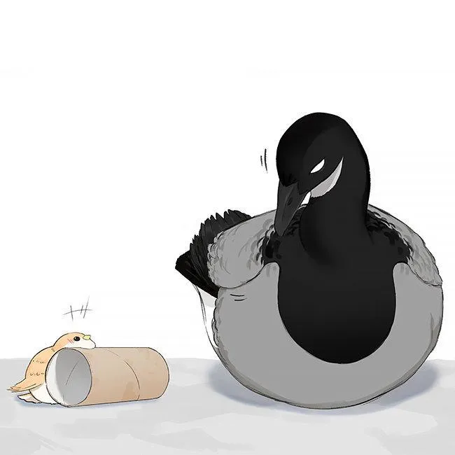 Southern Bird and Northern Bird Chapter 35 page 17 - 