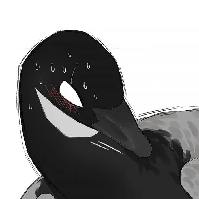 Southern Bird and Northern Bird Chapter 35 page 19 - 