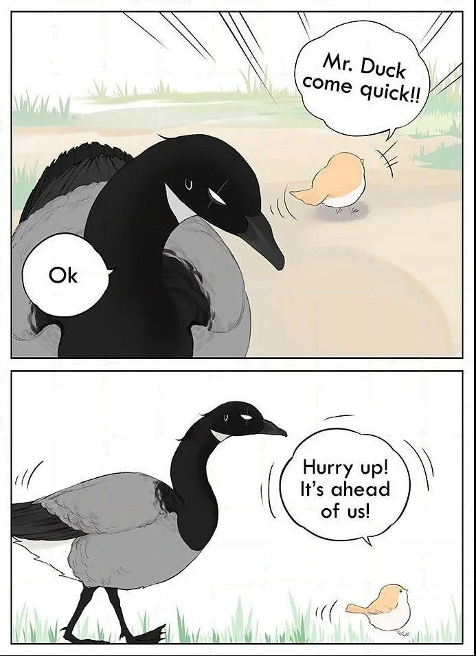 Southern Bird and Northern Bird Chapter 36 page 3 - 