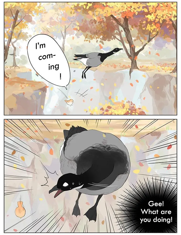 Southern Bird and Northern Bird Chapter 37 page 5 - 
