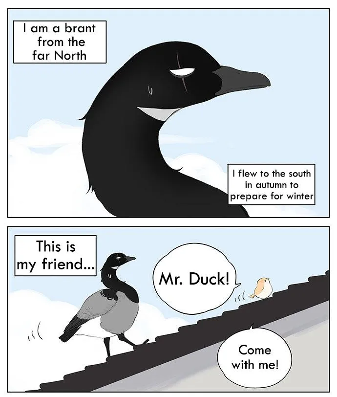 Southern Bird and Northern Bird Chapter 38 page 1 - 